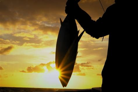 Stream It Or Skip It: ‘Battlefish’, Netflix’s Fishing Reality .